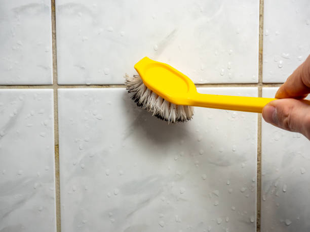 Best Mold Cleaning Services  in Alamo, NV