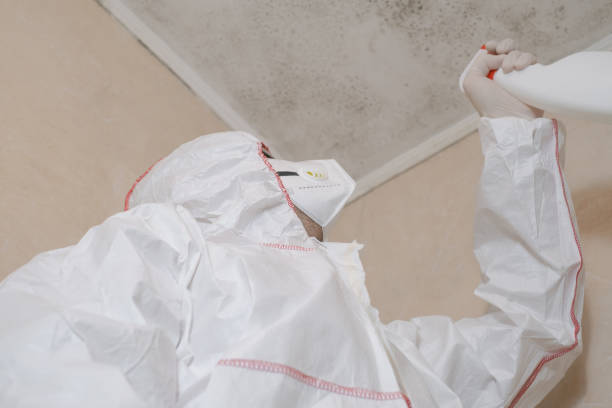 Best Certified Mold Removal  in Alamo, NV